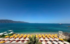 Palmanova Beach Mardok